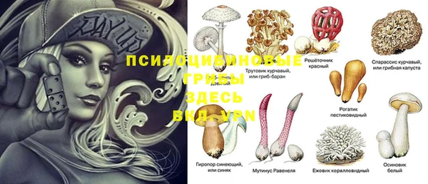 стафф Бугульма