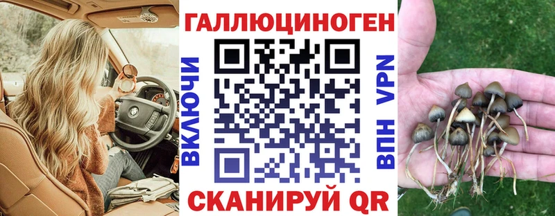 Псилоцибиновые грибы MAGIC MUSHROOMS  Троицк 